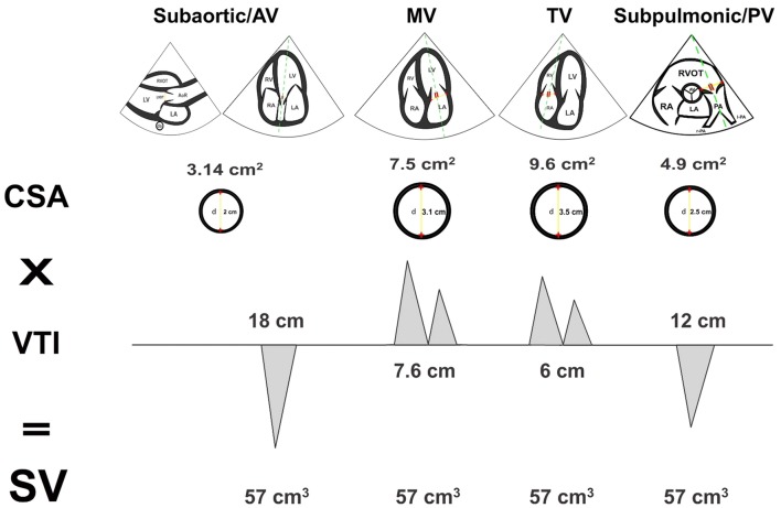 VTI: Principle of mass conservation
